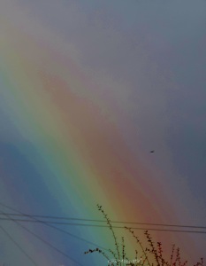 2015 01 13 rainbow jpg sig