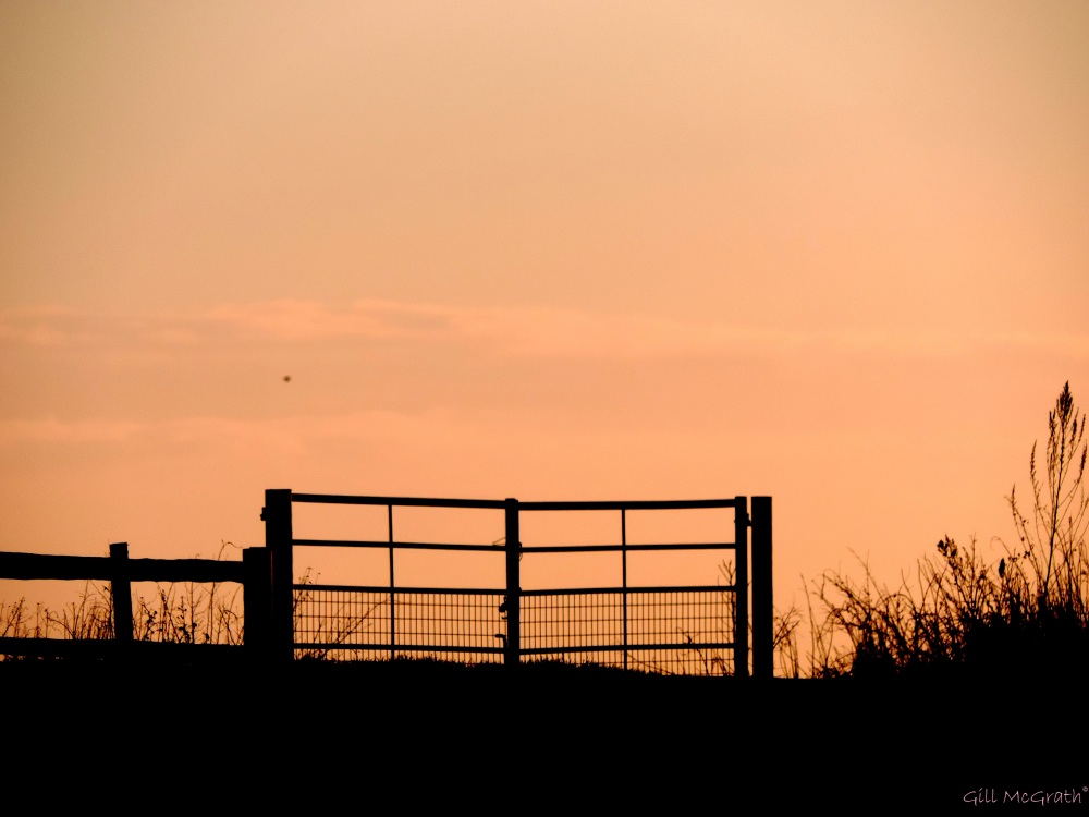 2015 01 29 gate to the fields from the road keep out jpg sig